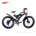 Good Quality Mountain Electric BIcycle
